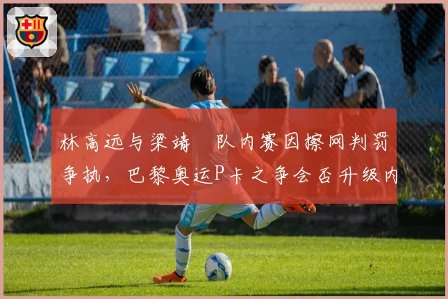 林高远与梁靖崑队内赛因擦网判罚争执,巴黎奥运P卡之争会否升级内耗?