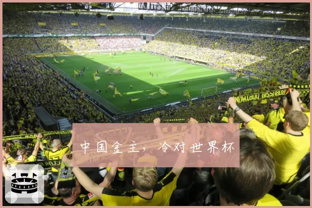 中国金主,冷对世界杯