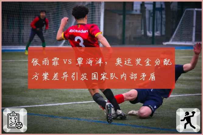 张雨霏 vs 覃海洋,奥运奖金分配方案差异引发国家队内部矛盾