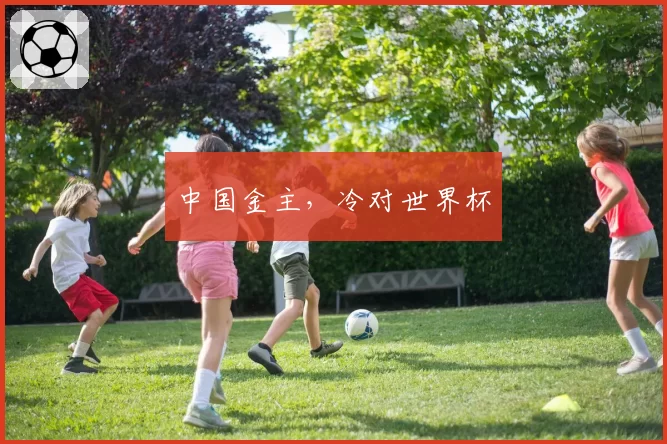 中国金主,冷对世界杯