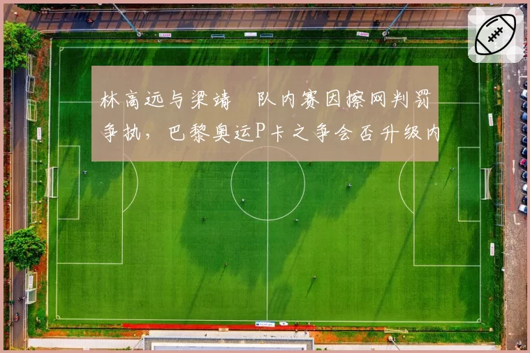林高远与梁靖崑队内赛因擦网判罚争执，巴黎奥运P卡之争会否升级内耗？