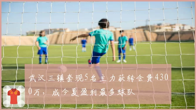 武汉三镇套现5名主力获转会费4300万,成今夏盈利最多球队
