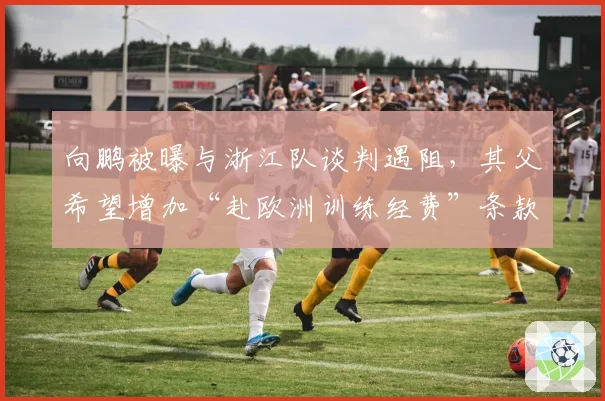 向鹏被曝与浙江队谈判遇阻,其父希望增加“赴欧洲训练经费”条款