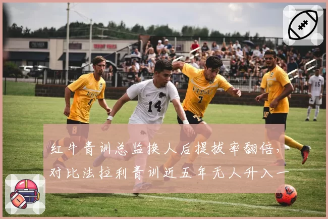 红牛青训总监换人后提拔率翻倍，对比法拉利青训近五年无人升入一队